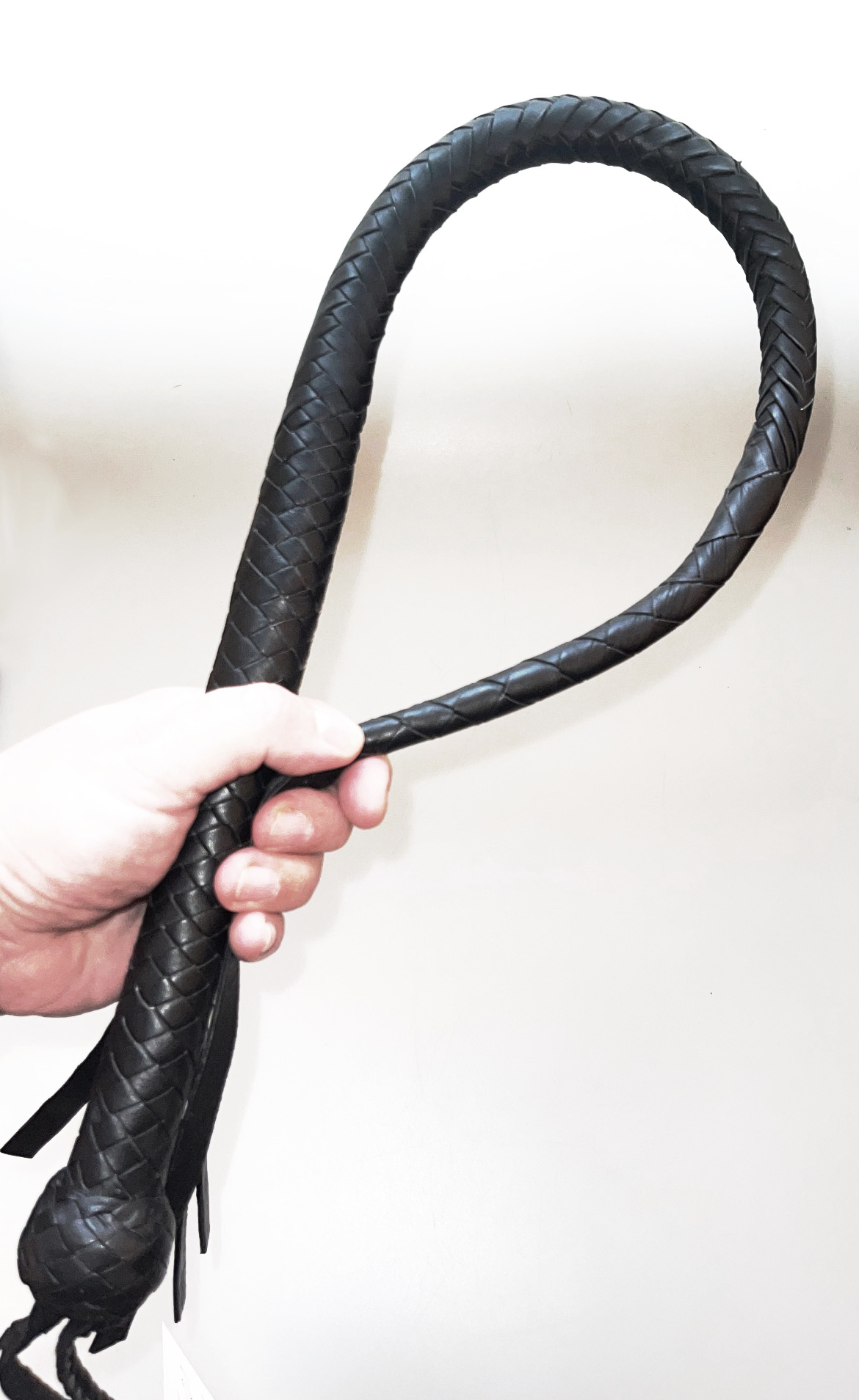 Kanadische Shortpeitsche kurze Singletail - Black