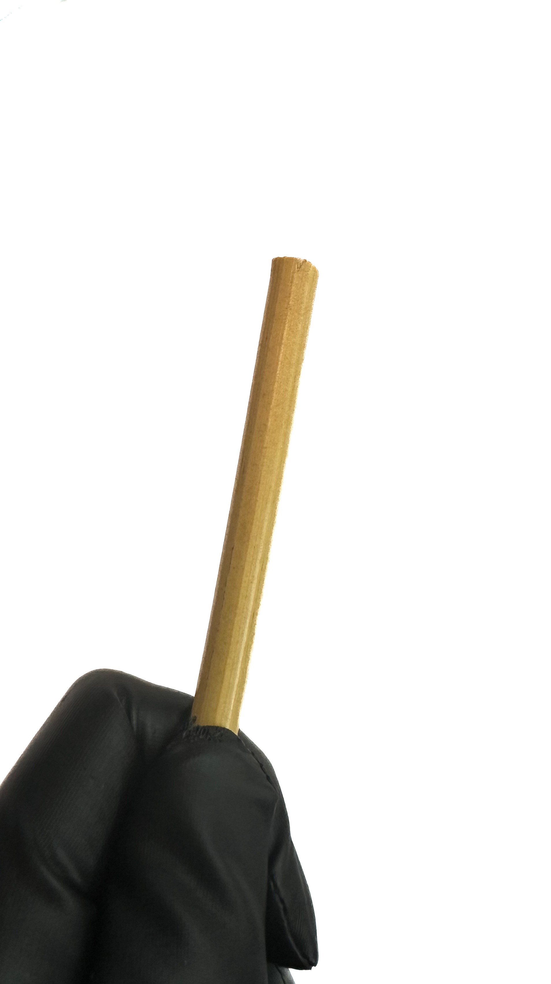 Cane unbehandelt, ungeschält, ca. 8 mm dick, Länge ca. 100 cm